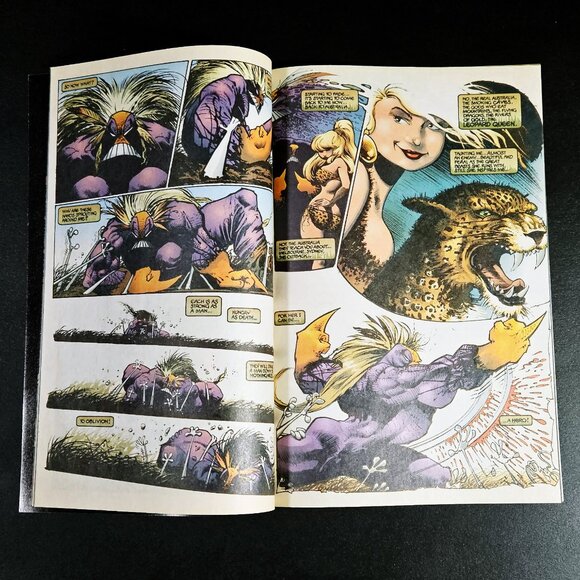 The Maxx 1 🔑 issue (1993) - Picture 2 of 7